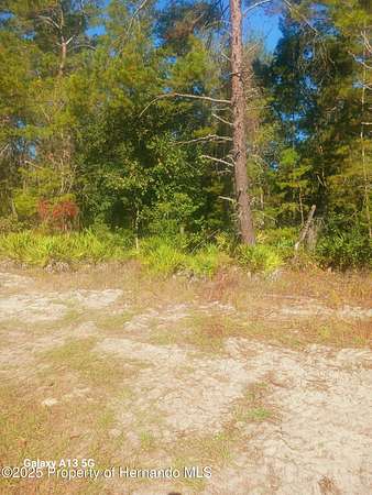 0.31 Acres of Land for Sale in Homosassa, Florida