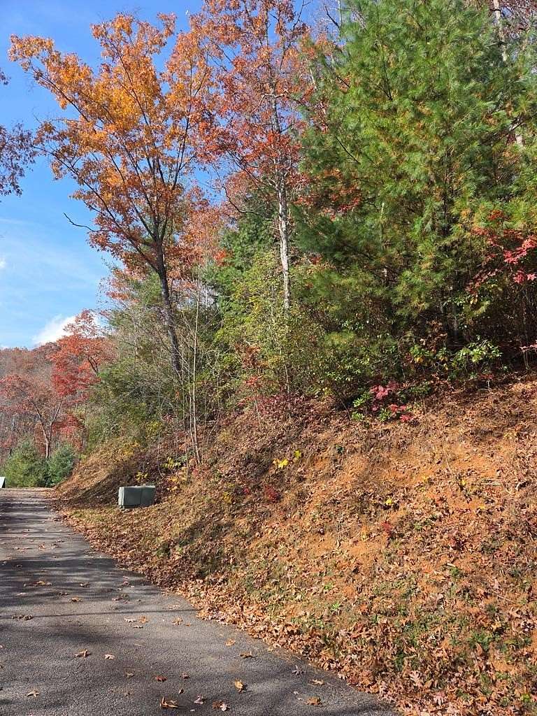 2 Acres of Residential Land for Sale in Cartoogechaye Township, North Carolina