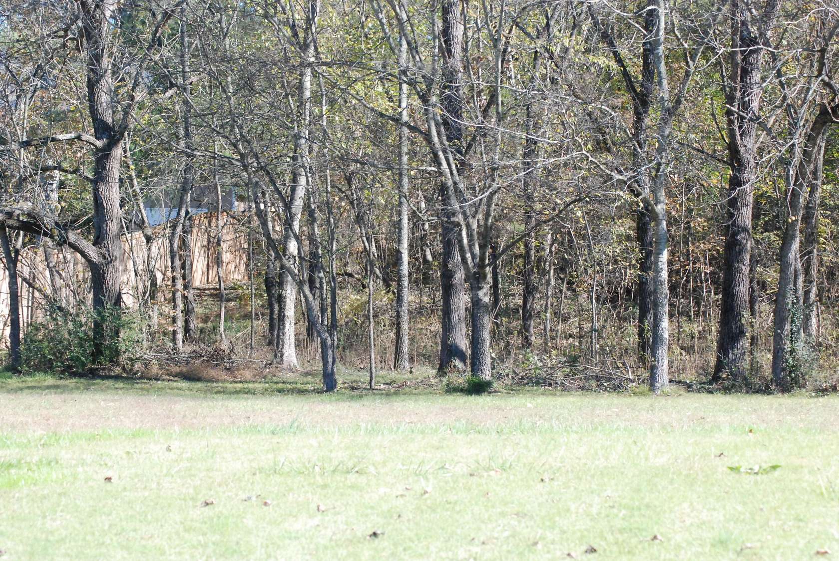 0.95 Acres of Residential Land for Sale in Ringgold, Georgia