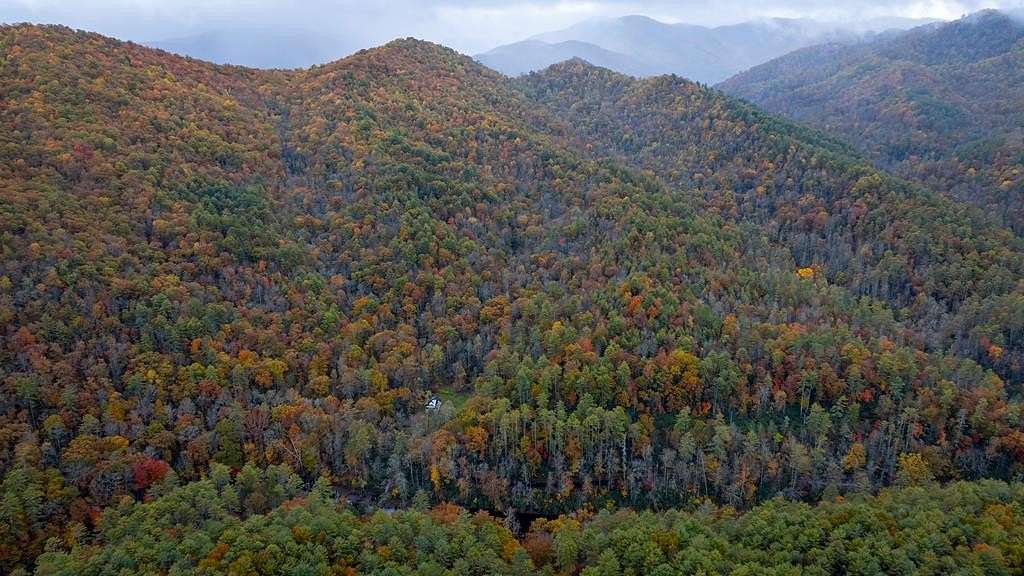 121 Acres of Recreational Land for Sale in Robbinsville, North Carolina
