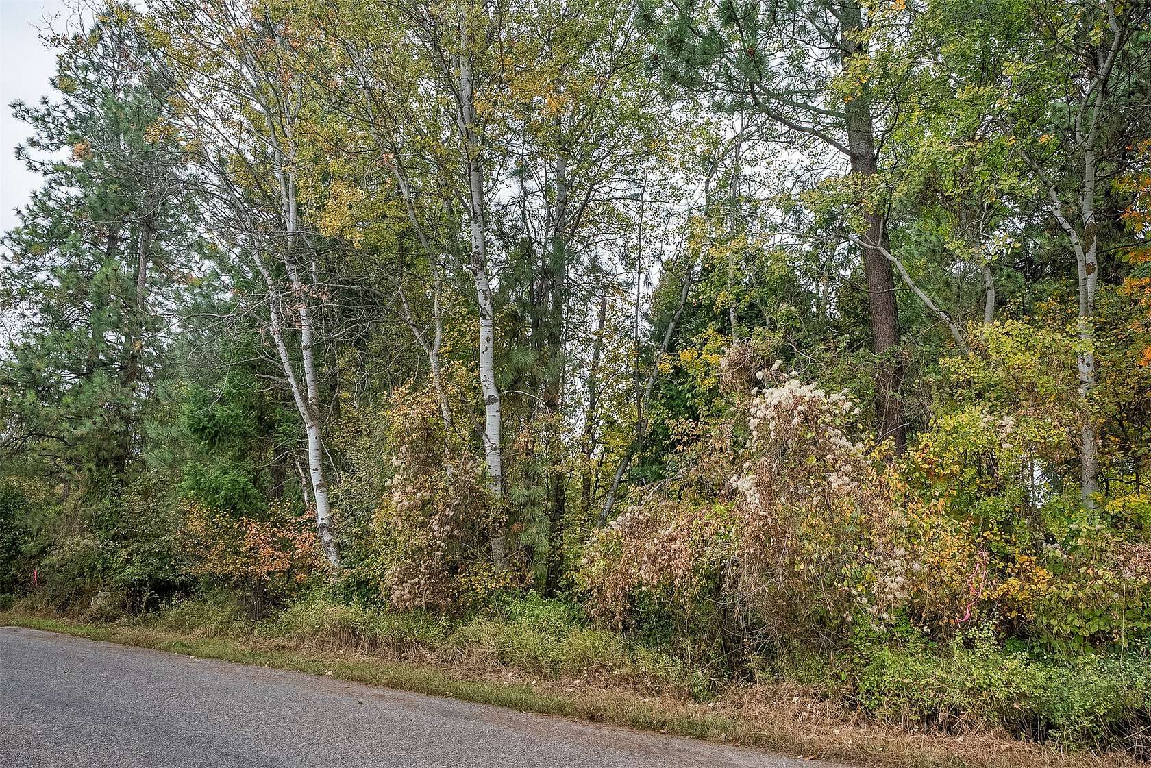 0.23 Acres of Residential Land for Sale in Columbia Falls, Montana