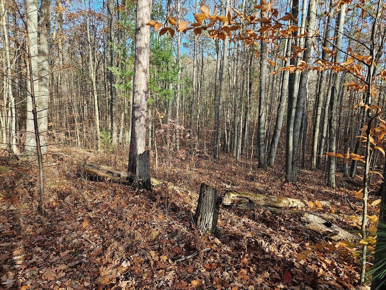 Residential Land for Sale in Roscommon, Michigan