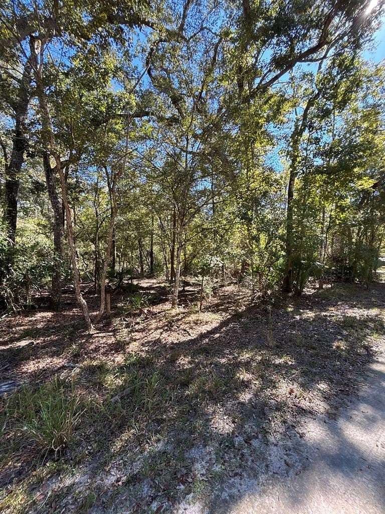 0.51 Acres of Residential Land for Sale in Old Town, Florida