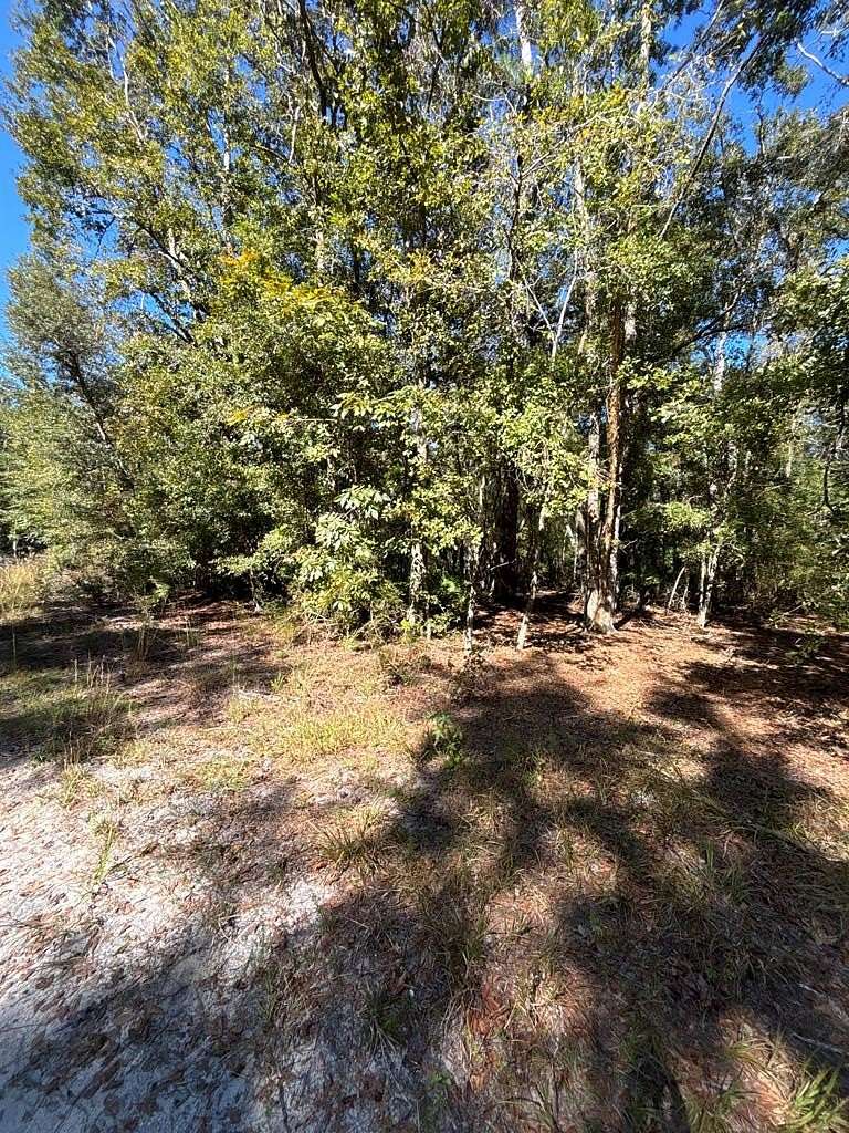 0.57 Acres of Residential Land for Sale in Old Town, Florida
