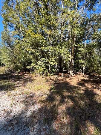 0.57 Acres of Residential Land for Sale in Old Town, Florida