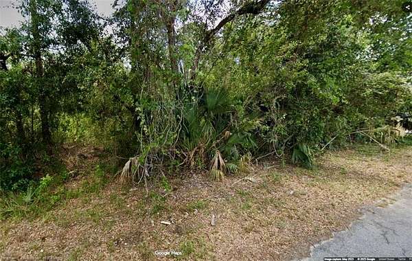 0.25 Acres of Residential Land for Sale in Alva, Florida