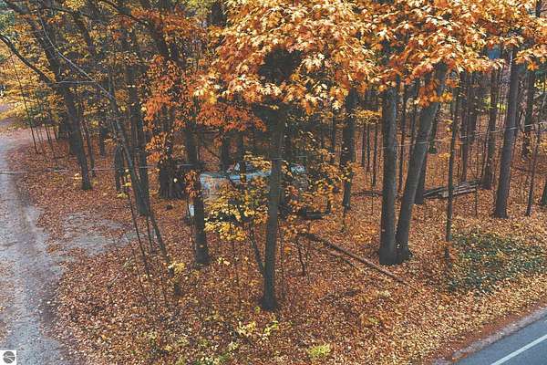 0.31 Acres of Residential Land for Sale in Honor, Michigan