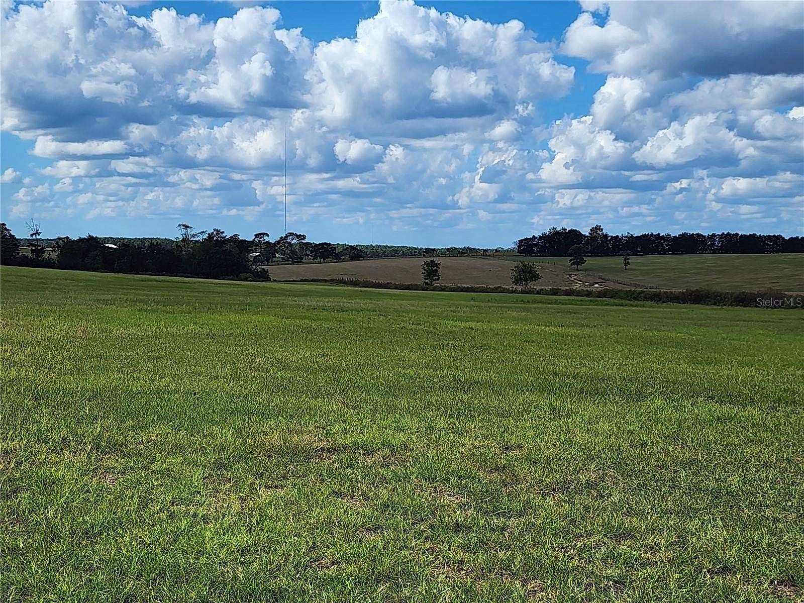 10.3 Acres of Agricultural Land for Sale in Morriston, Florida