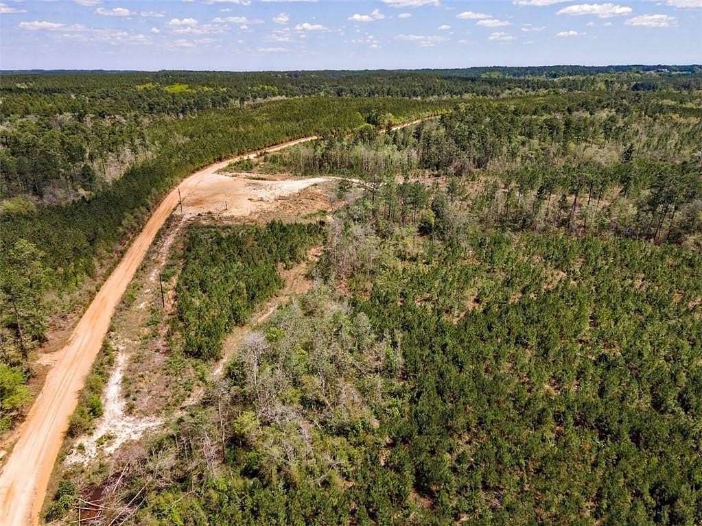 36 Acres of Recreational Land for Sale in Millry, Alabama