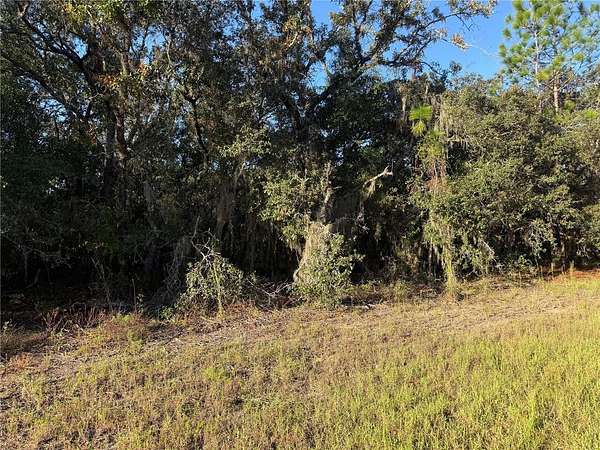 3.25 Acres of Residential Land for Sale in Beverly Hills, Florida