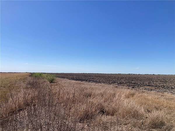87.3 Acres of Land for Sale in Alice, Texas