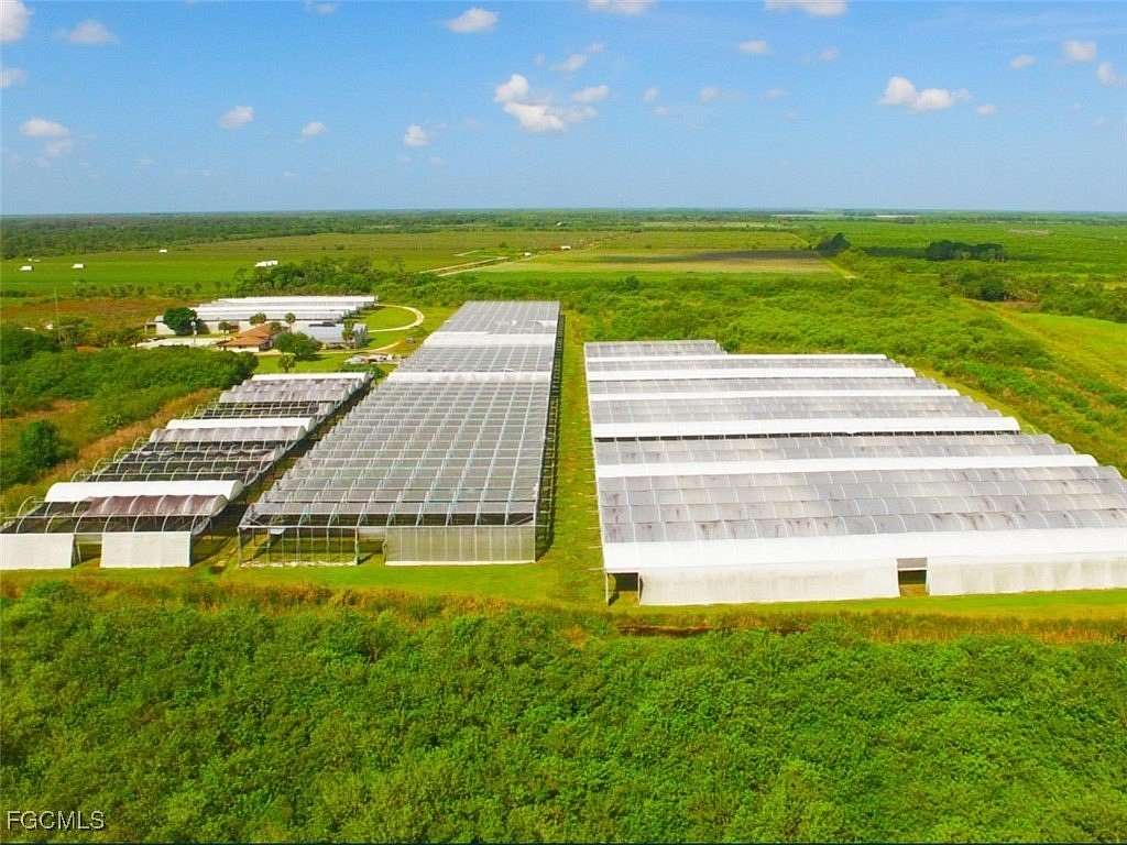 78 Acres of Agricultural Land for Sale in Immokalee, Florida