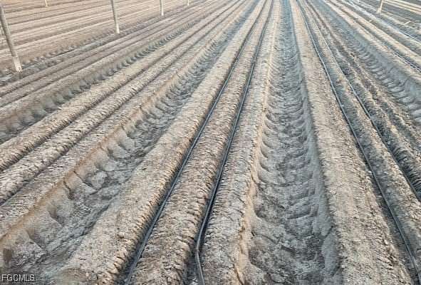 78 Acres of Agricultural Land for Sale in Immokalee, Florida