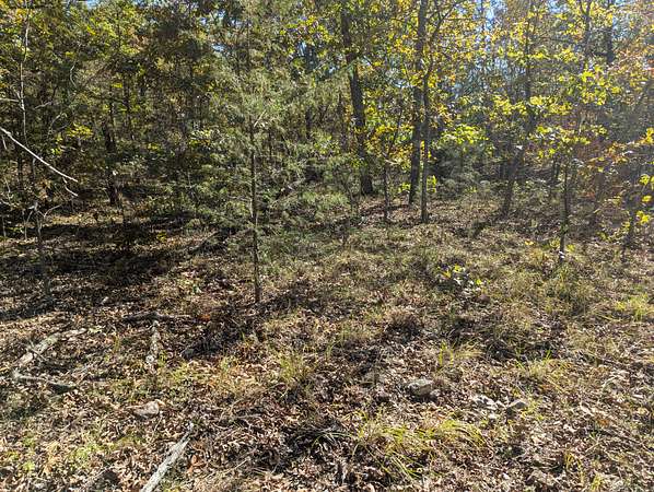 10 Acres of Recreational Land & Farm for Sale in Salem, Arkansas