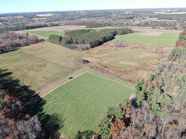 118 Acres of Land for Sale in Rosholt, Wisconsin