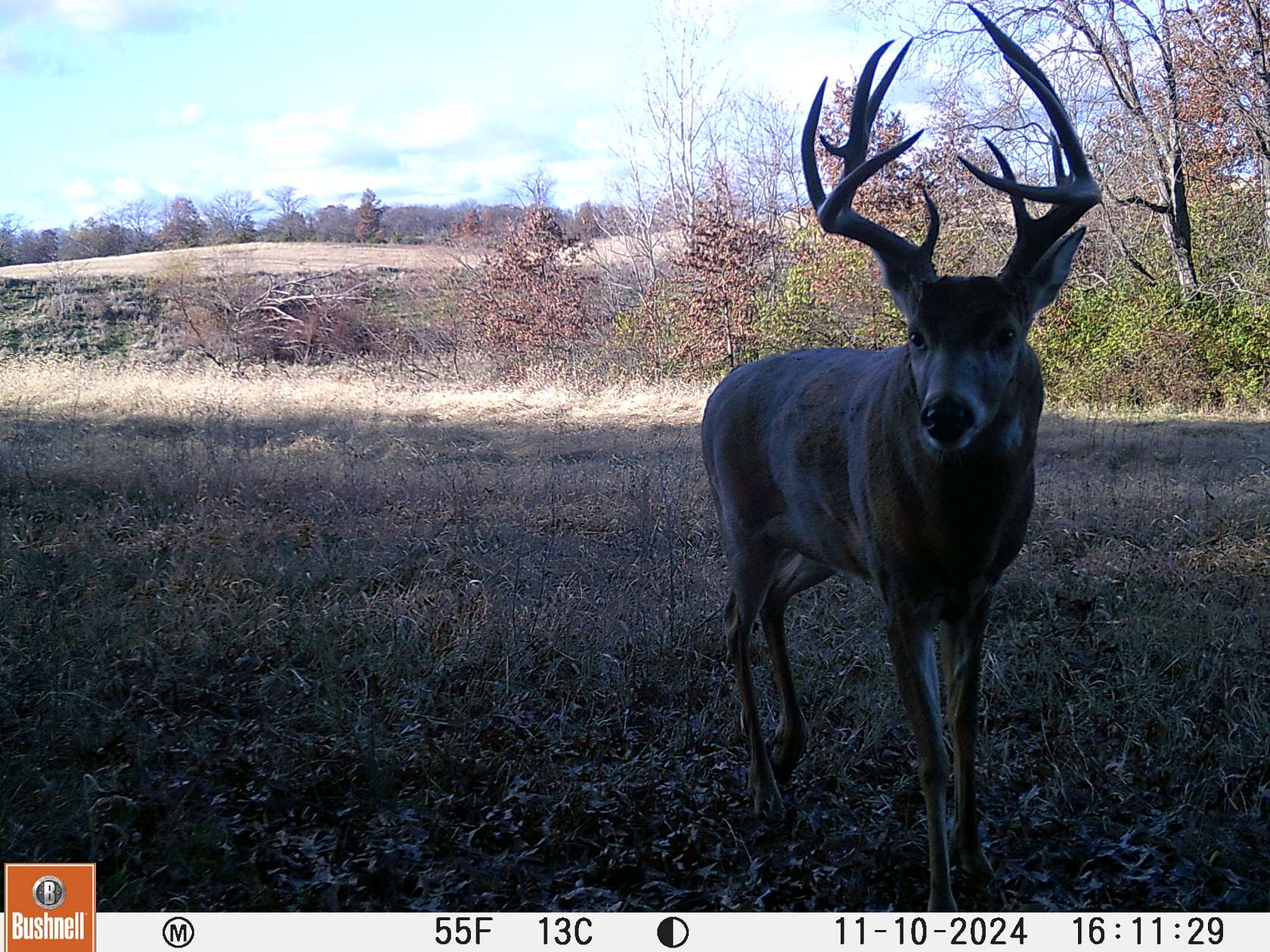 160 Acres of Recreational Land & Farm for Sale in Galt, Missouri