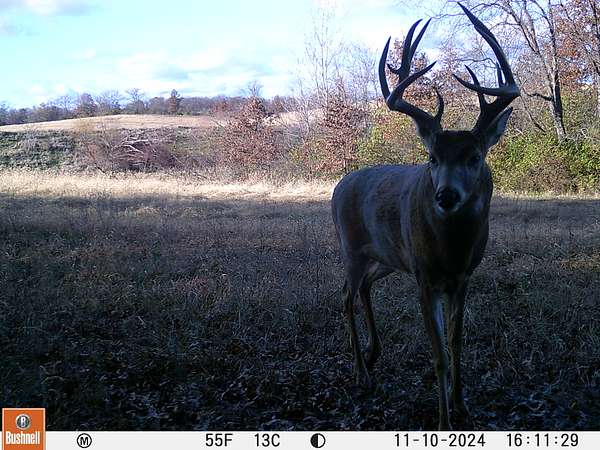 160 Acres of Recreational Land & Farm for Sale in Galt, Missouri