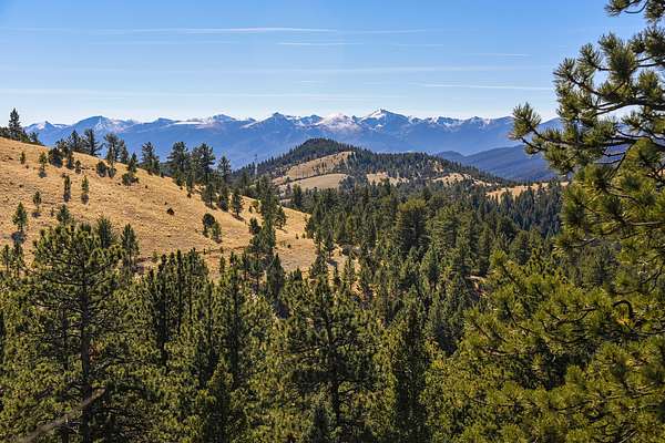 41 Acres of Land for Sale in Cotopaxi, Colorado