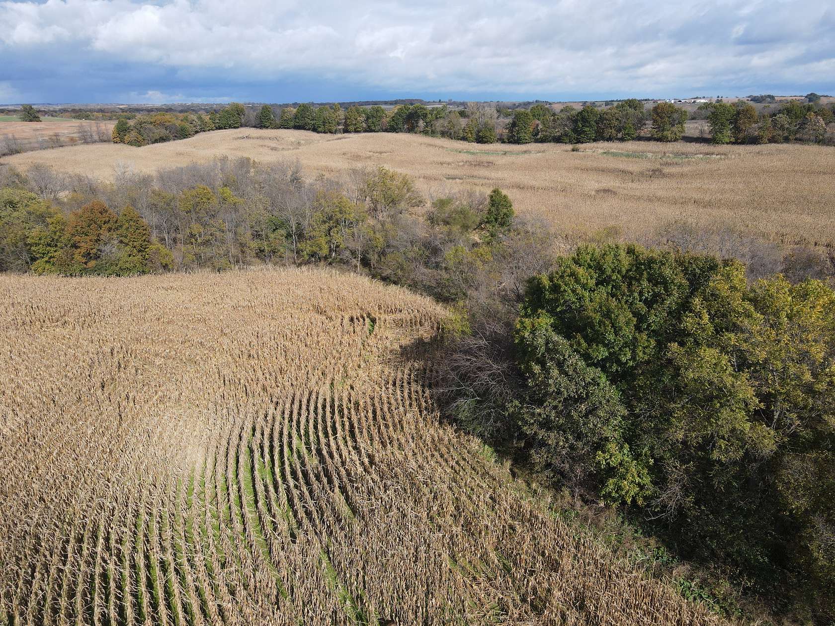 80 Acres of Recreational Land & Farm for Sale in Galt, Missouri