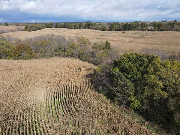 80 Acres of Recreational Land & Farm for Sale in Galt, Missouri