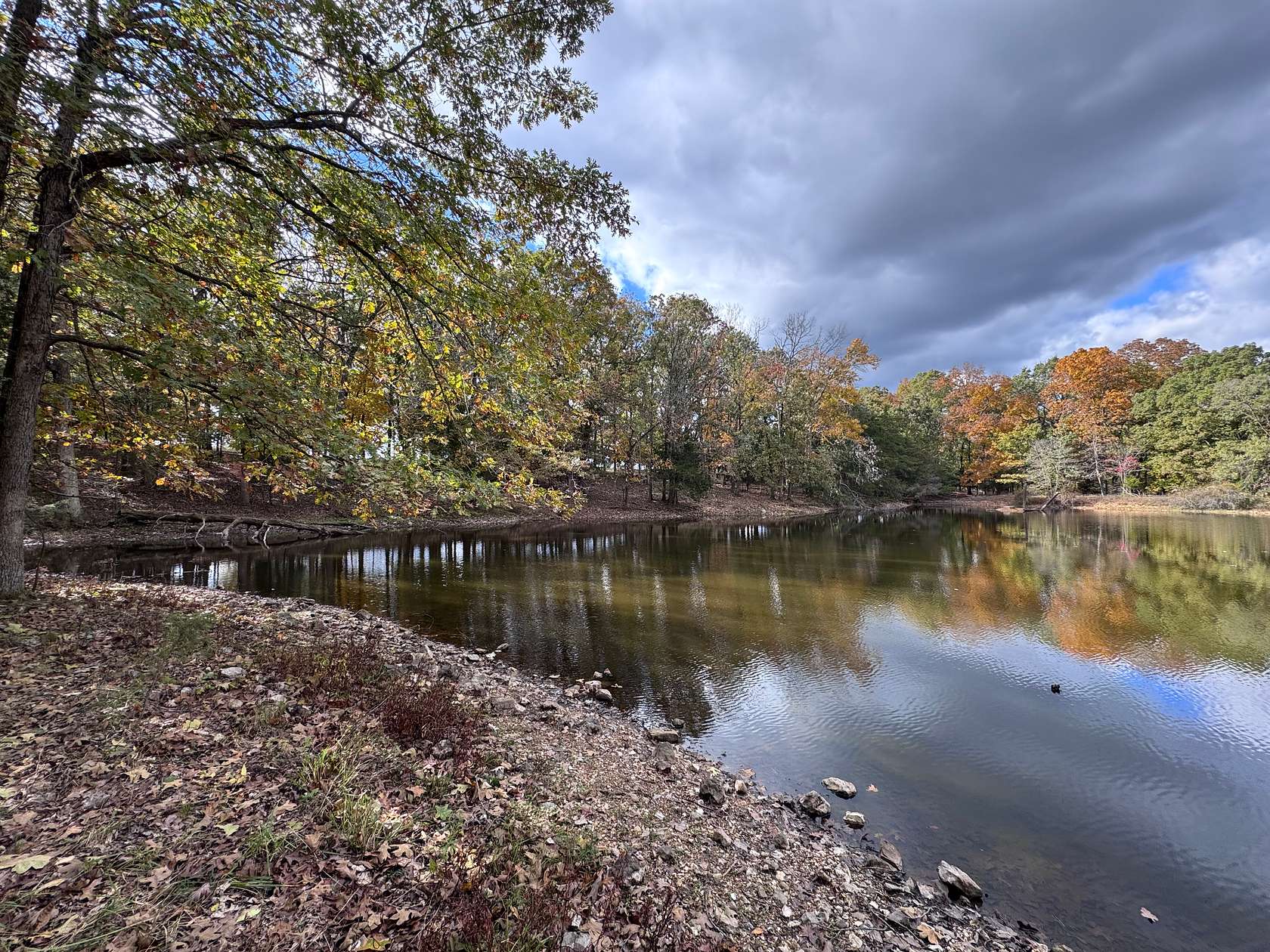 40 Acres of Recreational Land & Farm for Sale in Humansville, Missouri