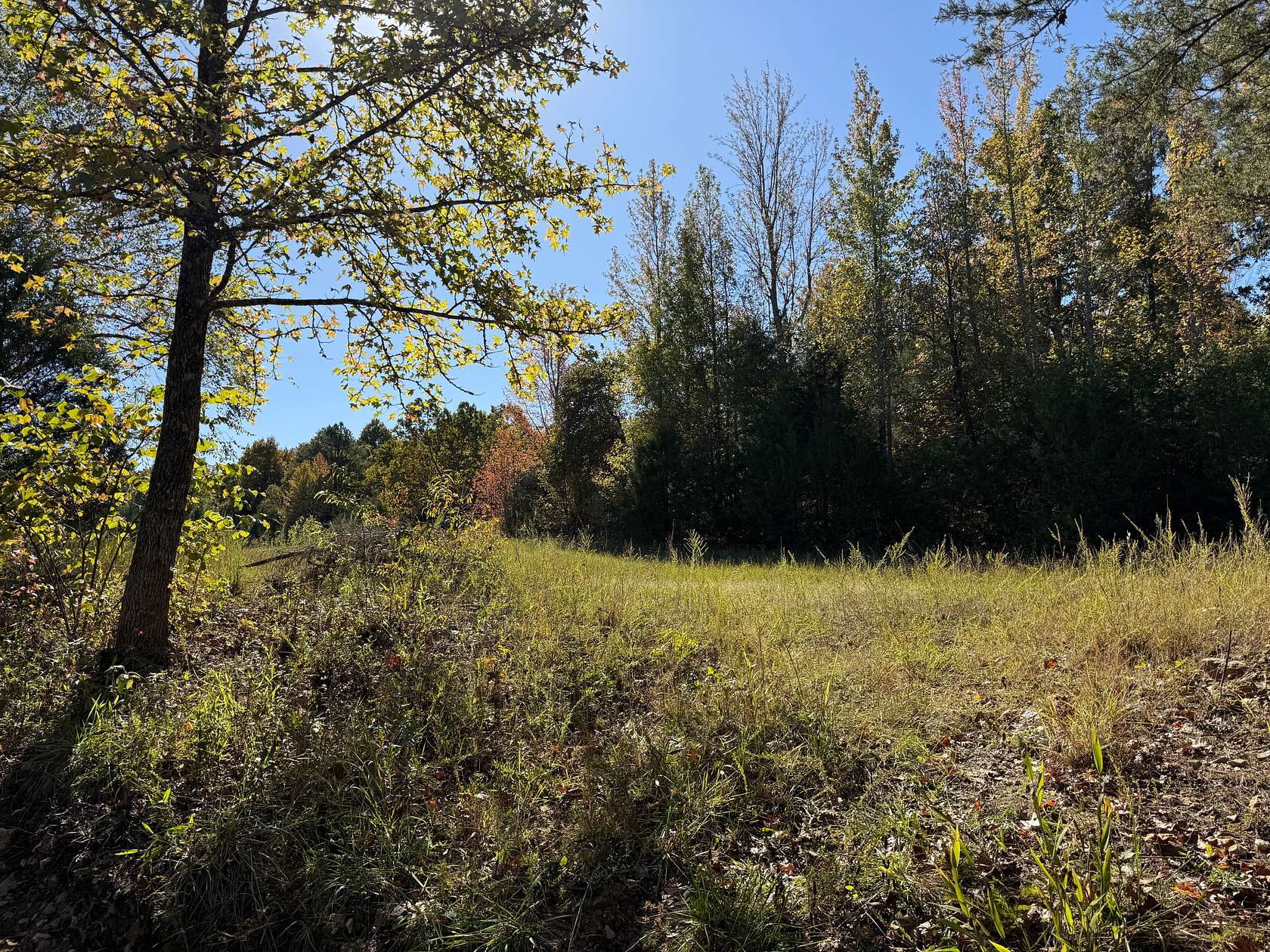 79.8 Acres of Recreational Land & Farm for Sale in Salem, Arkansas