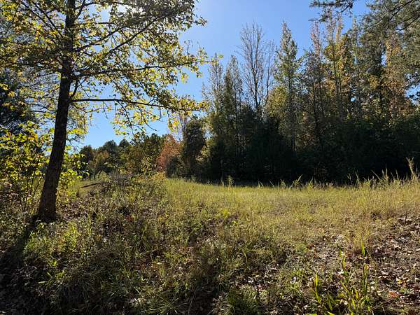 79.8 Acres of Recreational Land & Farm for Sale in Salem, Arkansas