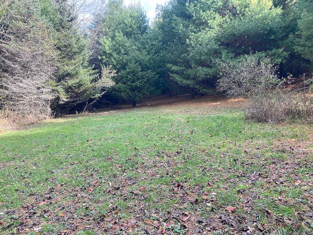 17.6 Acres of Recreational Land & Farm for Sale in Willis, Virginia