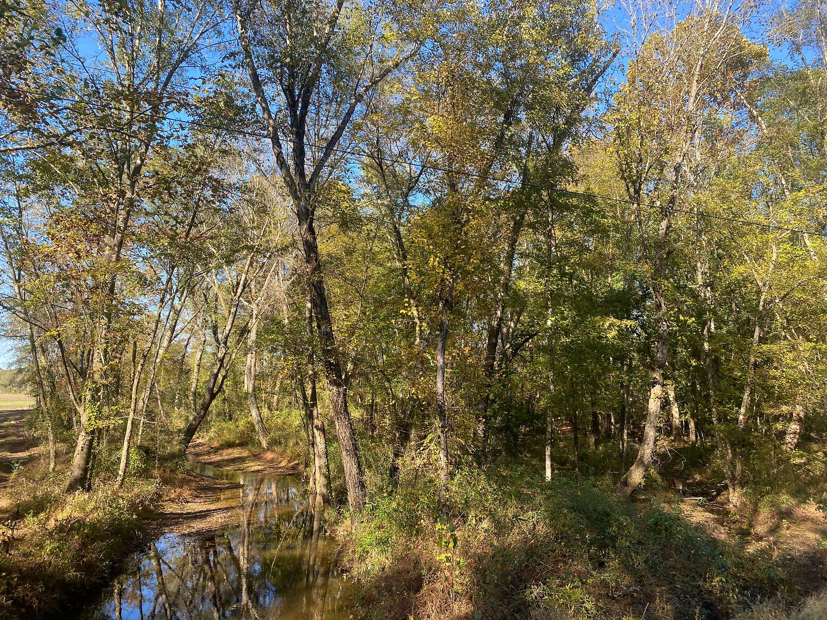 5.4 Acres of Agricultural Land for Sale in Saltillo, Tennessee