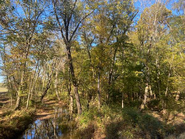 5.4 Acres of Agricultural Land for Sale in Saltillo, Tennessee