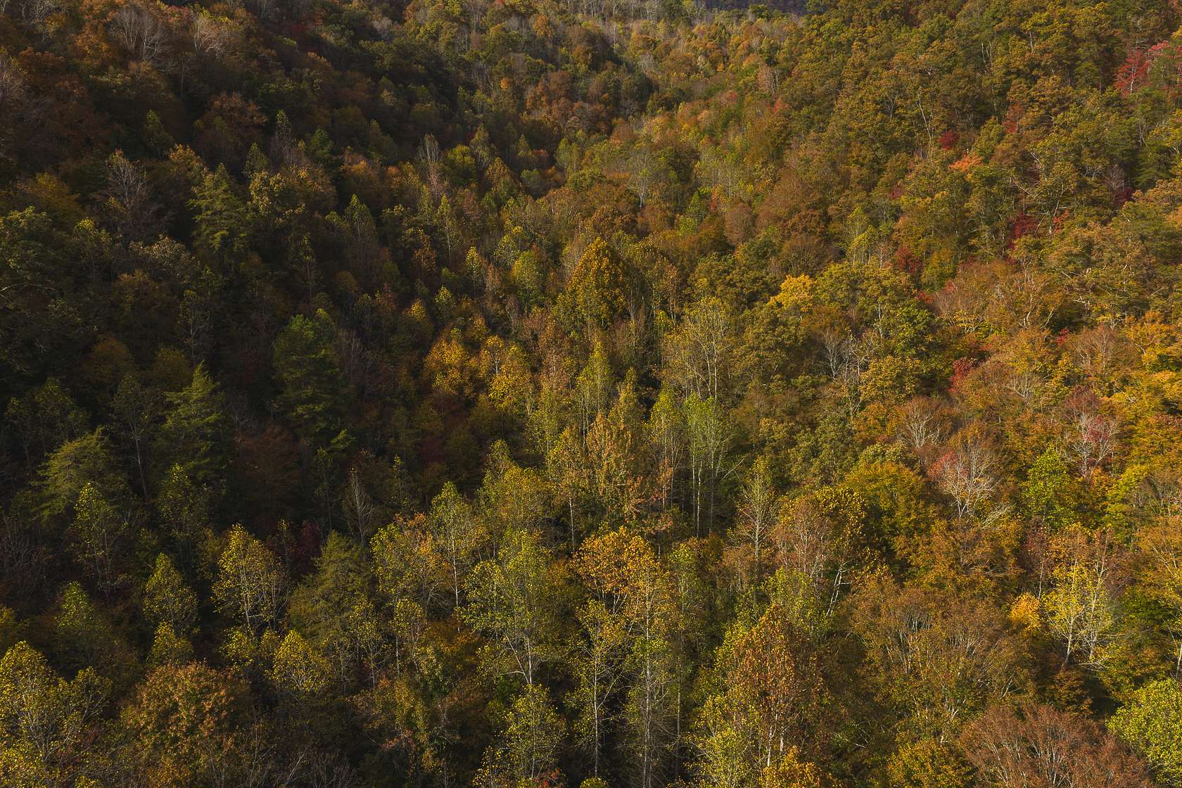 15 Acres of Recreational Land & Farm for Sale in Kyles Ford, Tennessee