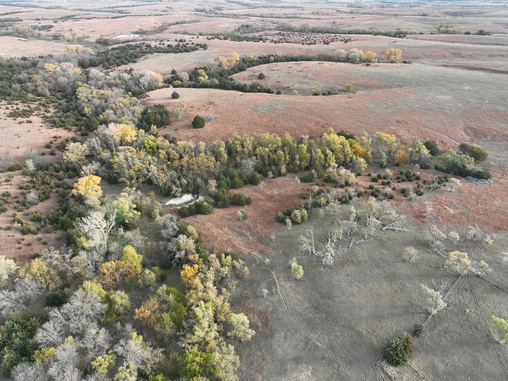 80 Acres of Recreational Land & Farm for Sale in Mankato, Kansas