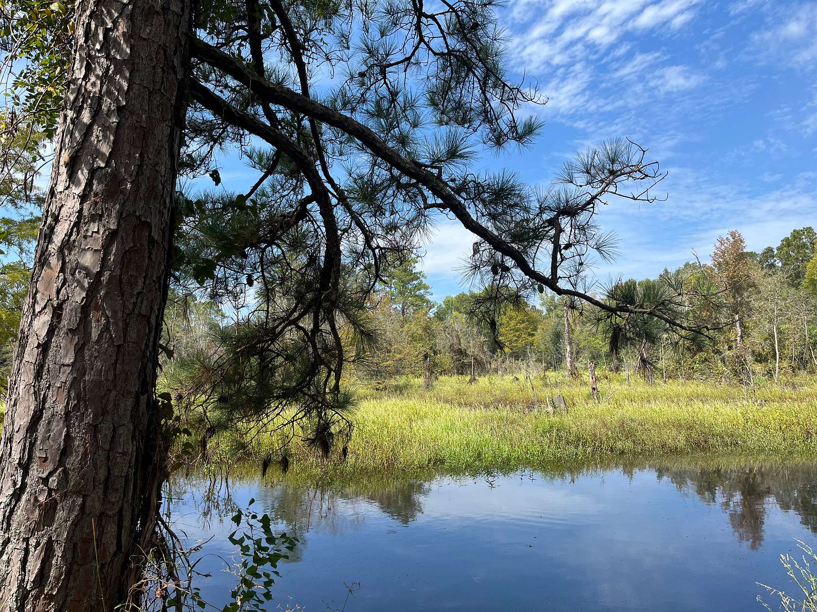 134 Acres of Recreational Land & Farm for Sale in Strong, Arkansas