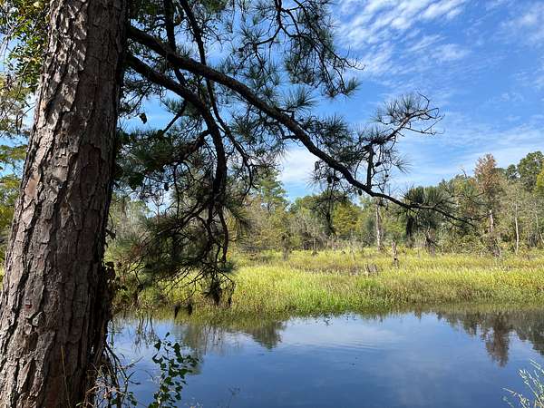 134 Acres of Recreational Land & Farm for Sale in Strong, Arkansas