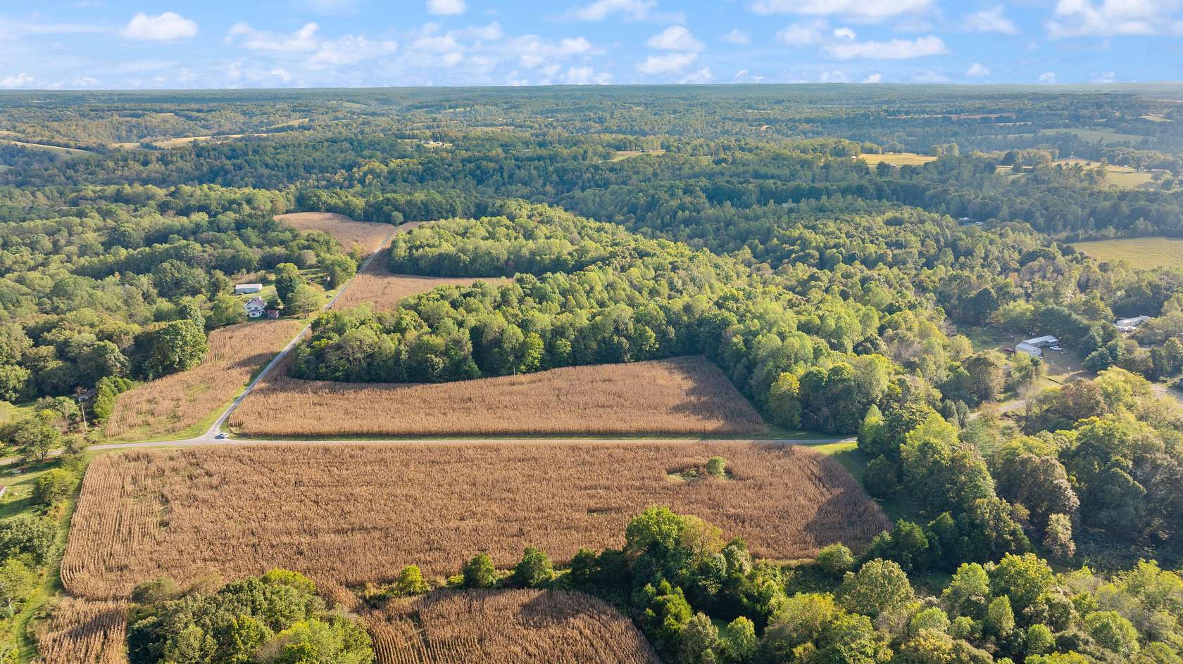 73.6 Acres of Land for Auction in Scottsville, Kentucky