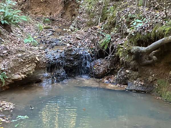 25 Acres of Land for Sale in Jacksonville, Texas