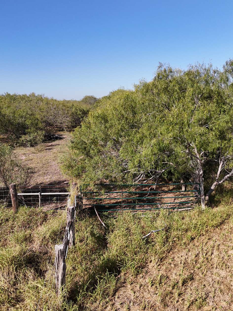 25 Acres of Land for Sale in Kingsville, Texas