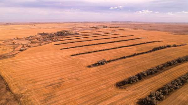 508 Acres of Land for Sale in Froid, Montana