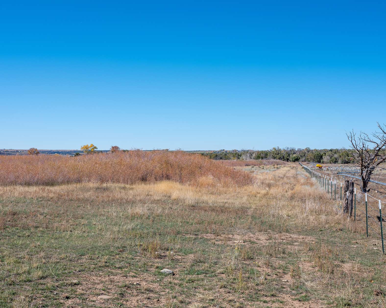63 Acres of Agricultural Land for Sale in Lewis, Colorado