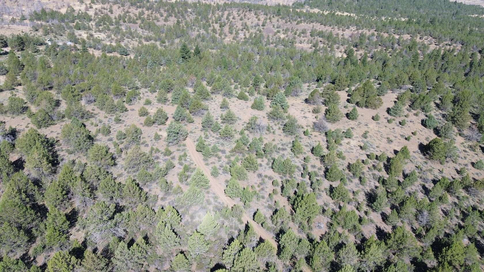 39.6 Acres of Land for Sale in Adin, California