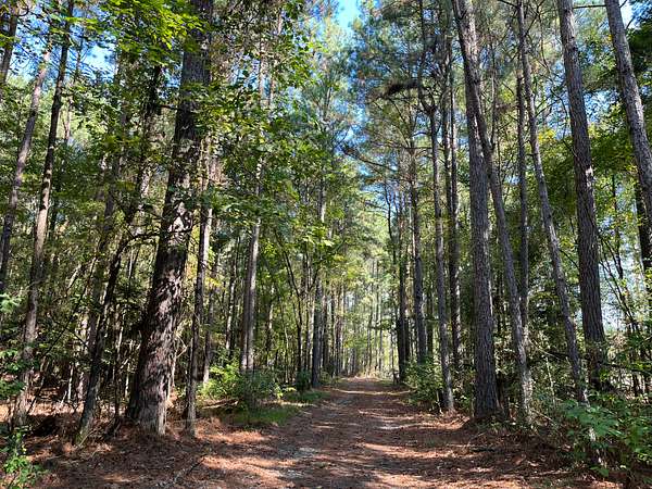 60.3 Acres of Recreational Land & Farm for Sale in Strong, Arkansas