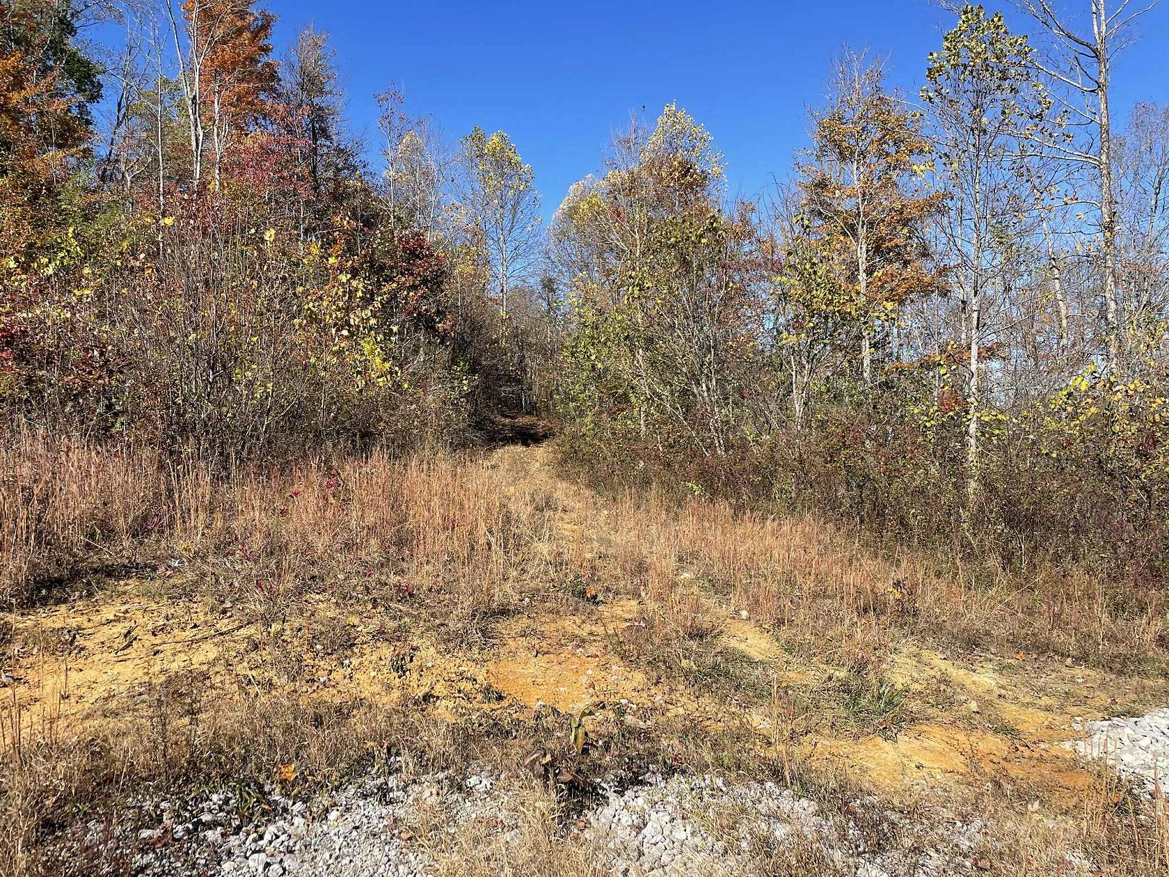 3.6 Acres of Land for Sale in Albany, Kentucky