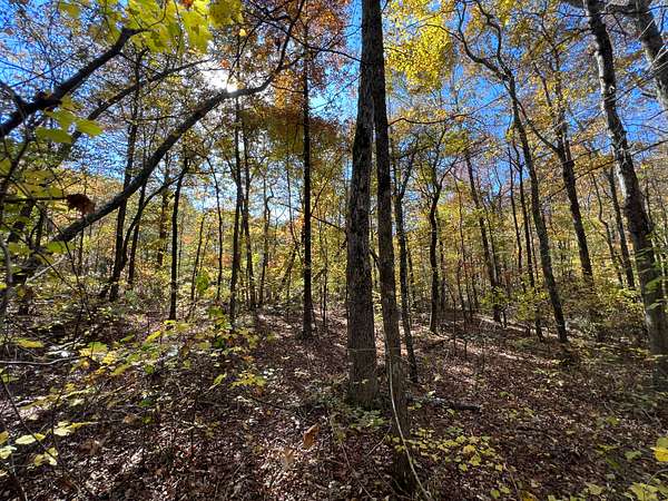 3.26 Acres of Land for Sale in Clinton, Arkansas