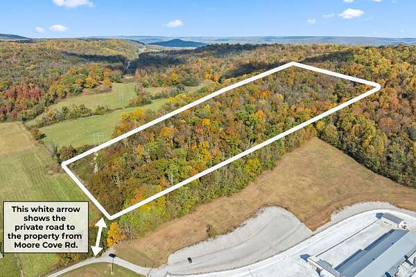 28 Acres of Recreational Land & Farm for Sale in Sparta, Tennessee