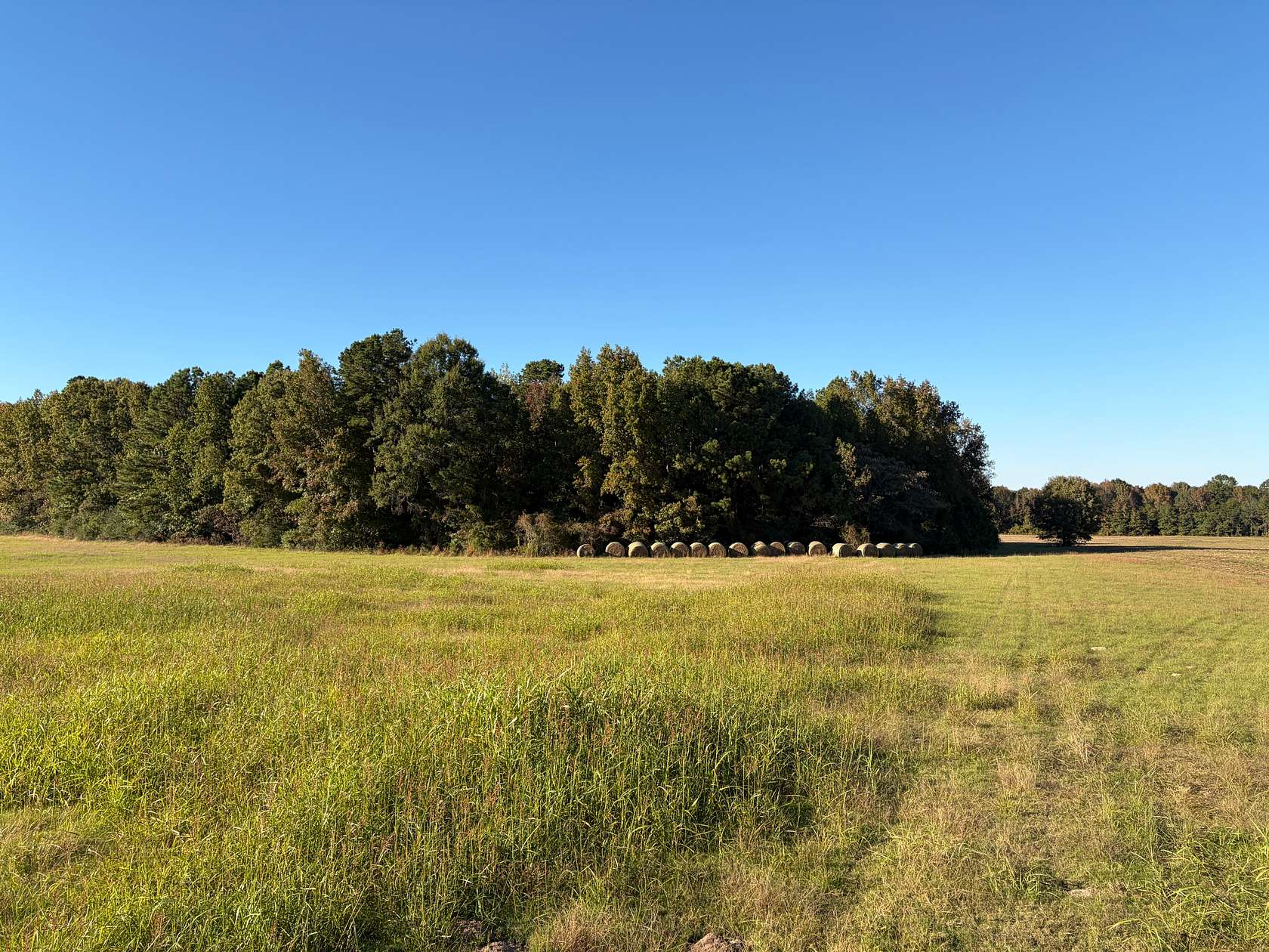 79 Acres of Land for Sale in Fouke, Arkansas
