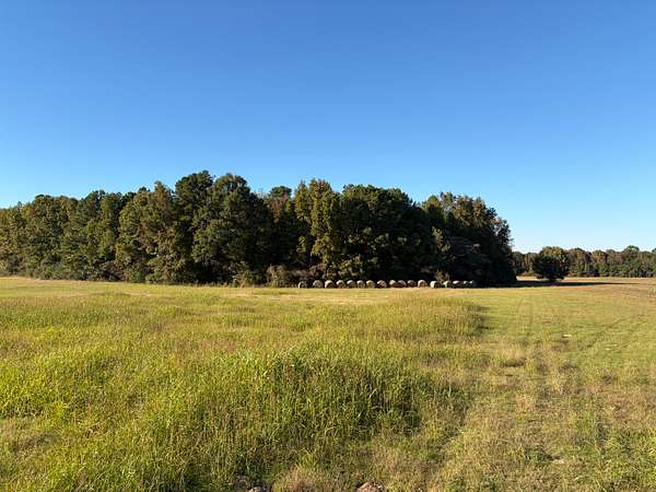 79 Acres of Land for Sale in Fouke, Arkansas