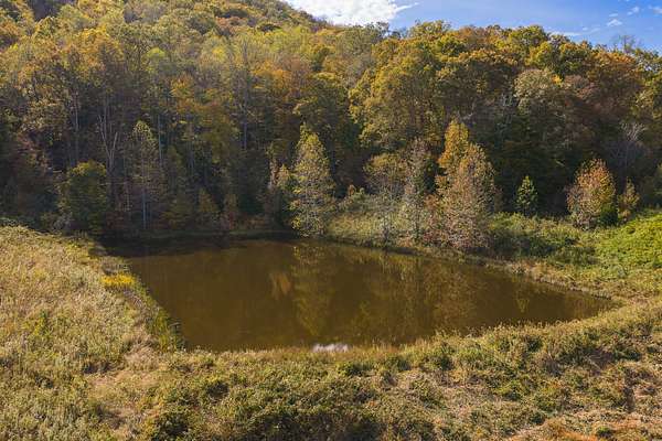 130 Acres of Recreational Land & Farm for Sale in Blackwater, Virginia