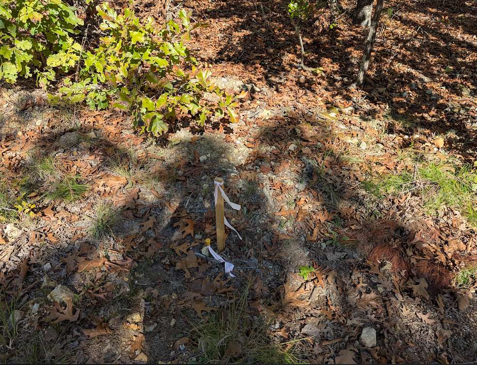 10 Acres of Recreational Land & Farm for Sale in Salem, Arkansas