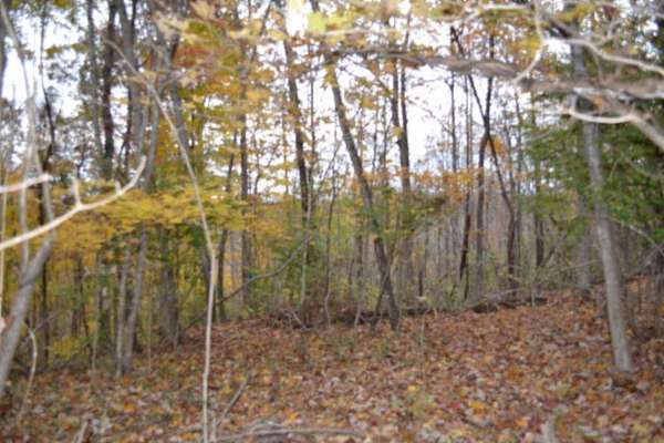 10.7 Acres of Recreational Land for Sale in Celina, Tennessee