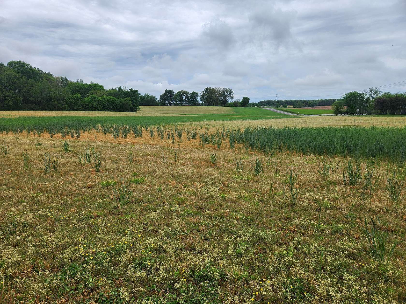 101 Acres of Land for Sale in Manchester, Tennessee